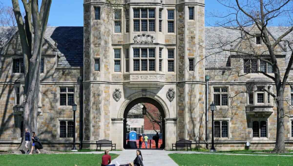 Business Studies Undergraduate