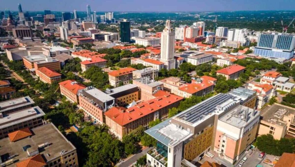 Business Studies Undergraduate