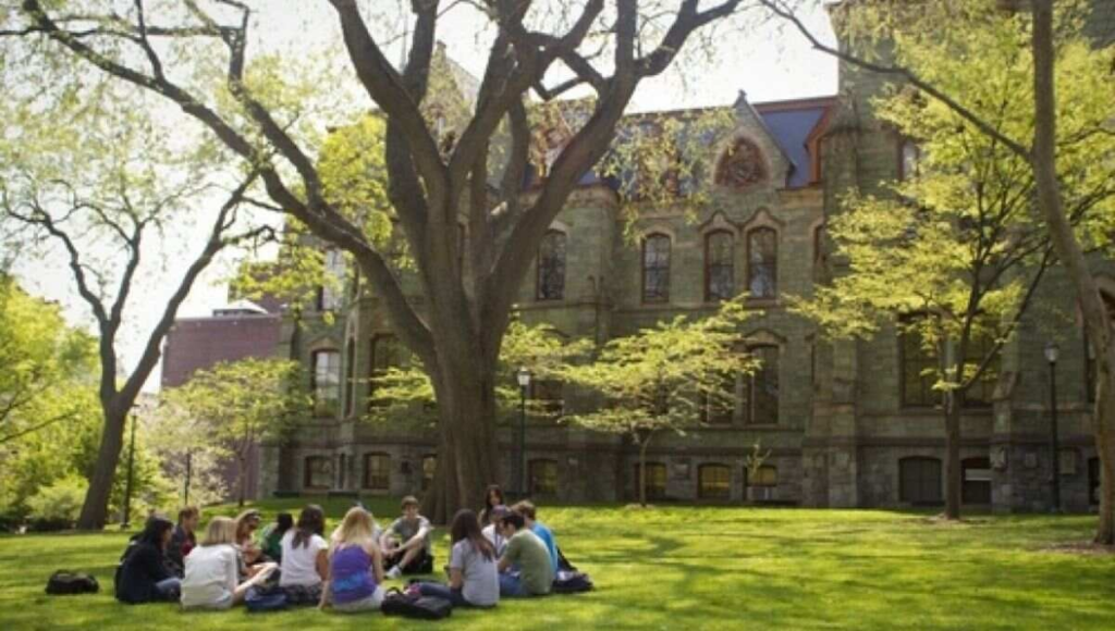 Undergraduate Business Degree