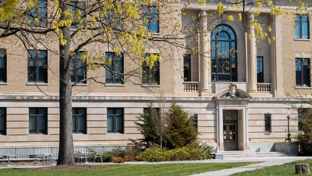 Undergraduate Business Schools in USA