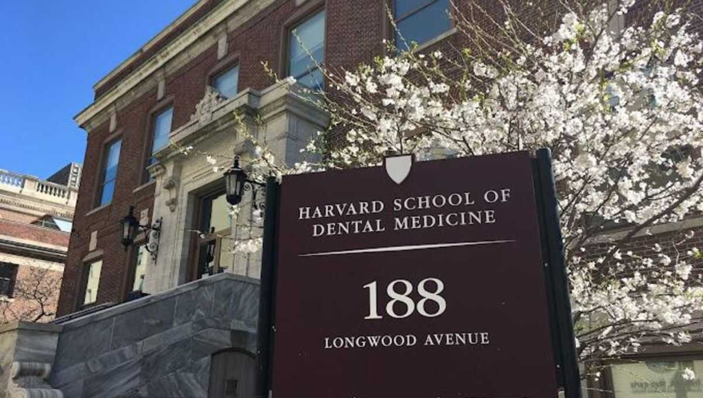Dental Schools in the USA